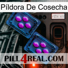 Píldora De Cosecha 03